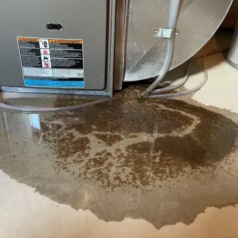 Appliance Leak Cleanup in Lake Camelot, IL